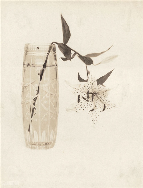 静物，郎静山摄