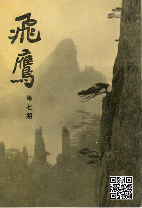 飞鹰杂志第七期封面