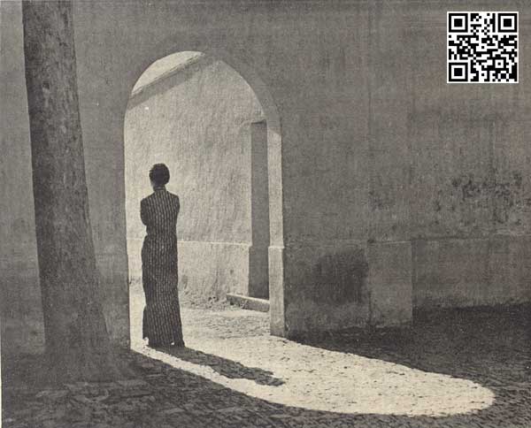 杨公赞作品夕阳