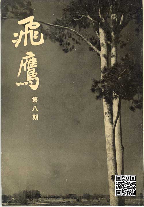 飞鹰第八期封面