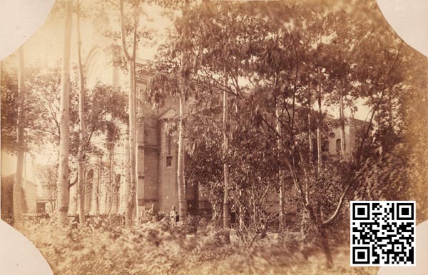 建成不久的紫竹林教堂