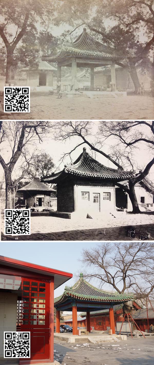 Shen Cang now and then